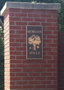 Morgan Hills