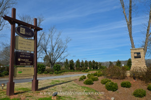 Tivoli Homes for Sale in Auburn AL