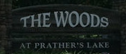 Woods at Prathers Lake