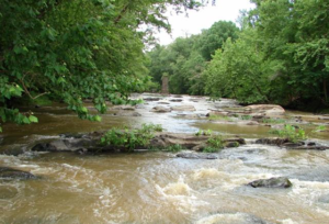 Homes for Sale Beauregard AL