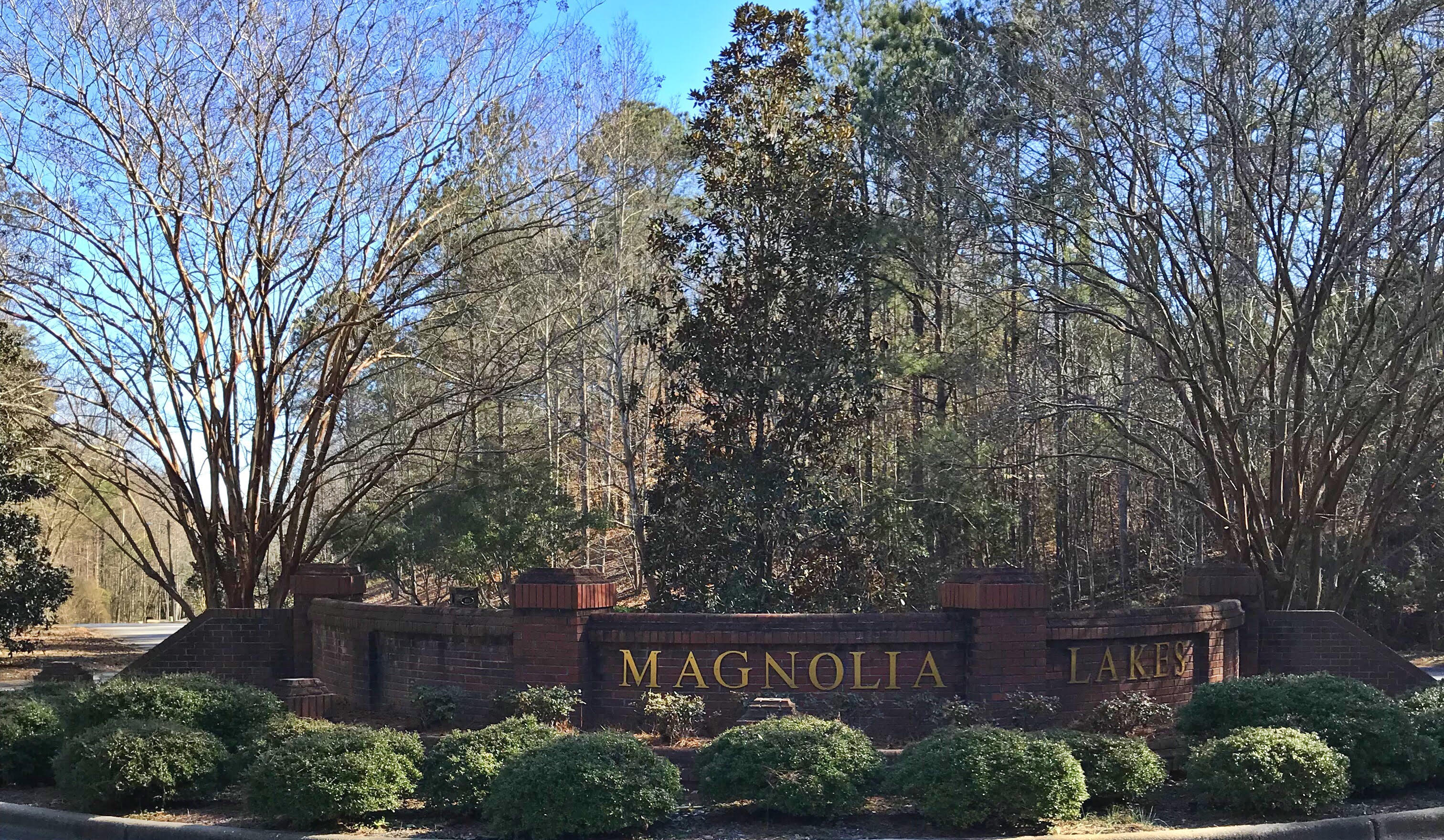 Magnolia Lakes Homes for Sale in Auburn AL