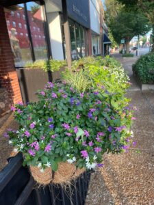 hamiltons on magnolia auburn al | REALTOR® Laura Sellers, Auburn, AL