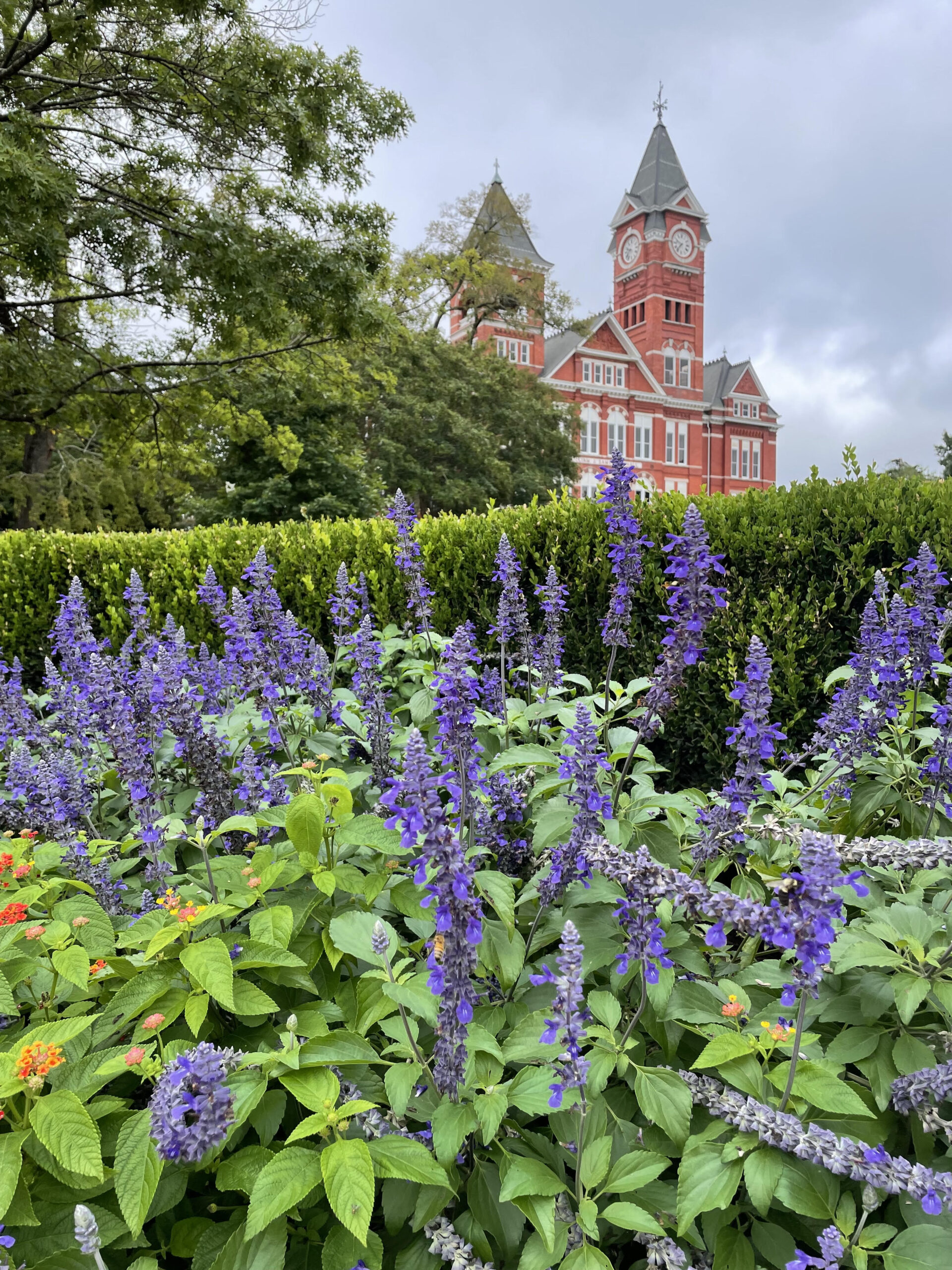 Weekend at Auburn University 2022 REALTOR® Laura Sellers