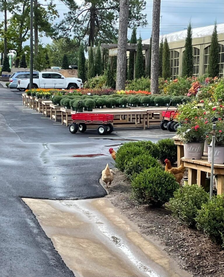 The Botanic in Opelika, AL REALTOR® Laura Sellers, Auburn, AL