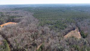 DJI_0025 | REALTOR® Laura Sellers, Auburn, AL