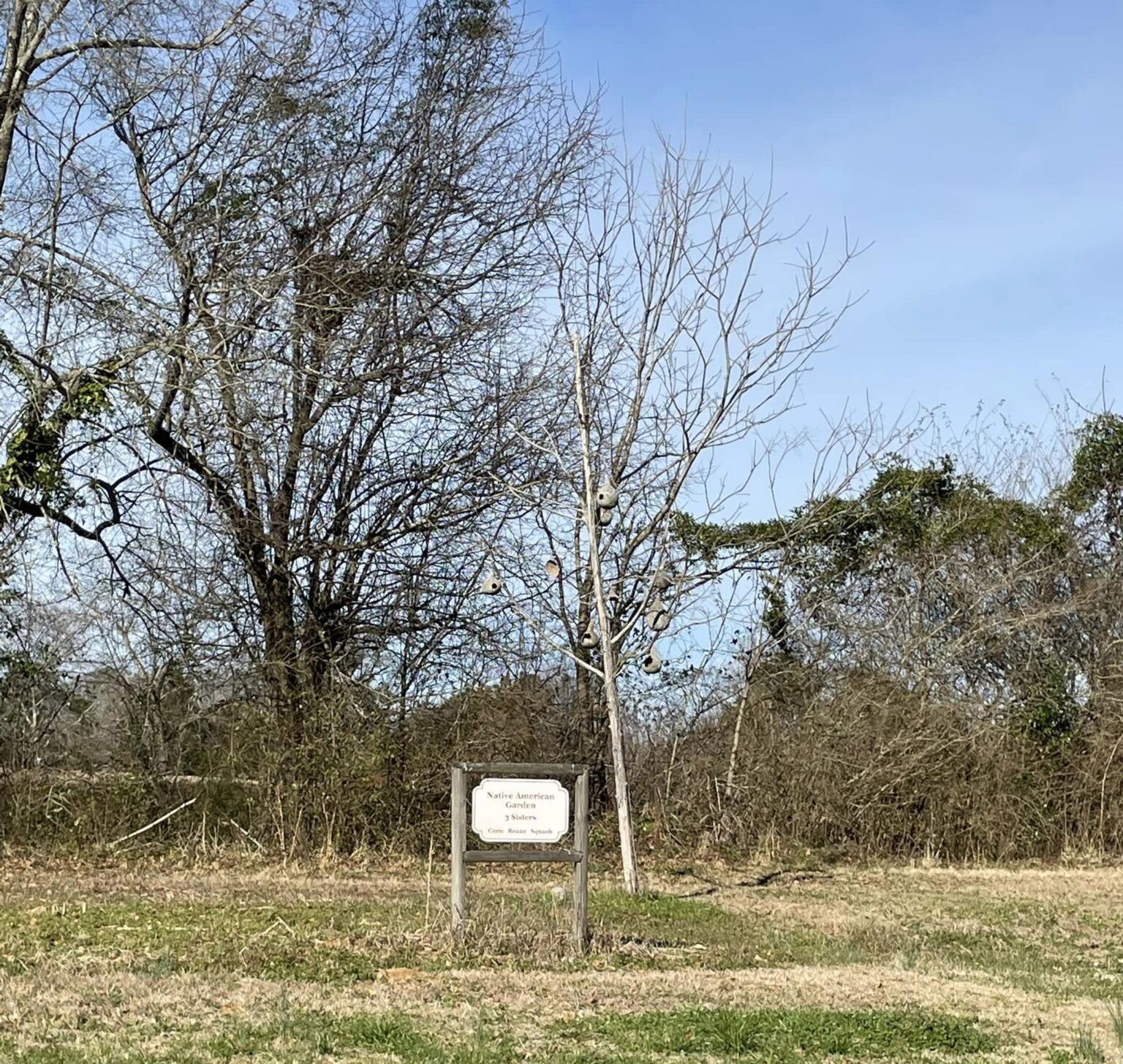 Pioneer Park in Loachapoka, AL REALTOR® Laura Sellers, Auburn, AL