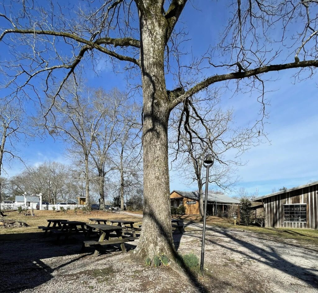 Pioneer Park in Loachapoka, AL REALTOR® Laura Sellers, Auburn, AL