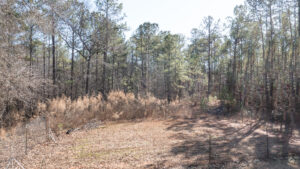 DJI_0013 | REALTOR® Laura Sellers, Auburn, AL
