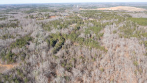 DJI_0019 | REALTOR® Laura Sellers, Auburn, AL