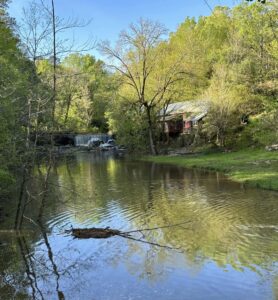 waterfall nash creek society hill road 3 | REALTOR® Laura Sellers, Auburn, AL