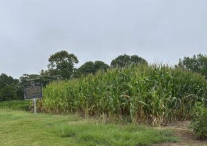 auburn university crop rotation 5 | REALTOR® Laura Sellers, Auburn, AL