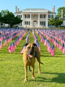 Thousands of American flags honoring fallen heroes on Memorial Day in Auburn, AL