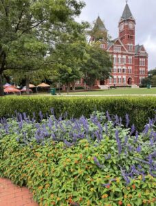 Auburn University housing guide for faculty and staff