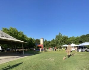 Framers market or grocery store 1 | REALTOR® Laura Sellers, Auburn, AL