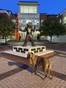 Fans meeting Aubie at the statue before Auburn football gameday