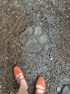 524289236_3967530843465204_7121520358184079624_n | REALTOR® Laura Sellers, Auburn, AL