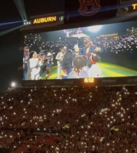 auburn football auburn ga game cam newton 13 | REALTOR® Laura Sellers, Auburn, AL