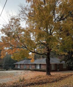 auburn homes for sale auburn 17 | REALTOR® Laura Sellers, Auburn, AL