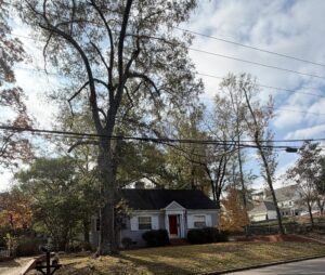 auburn homes for sale auburn 48 | REALTOR® Laura Sellers, Auburn, AL