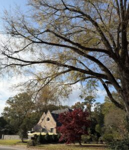 auburn homes near auburn university 11 | REALTOR® Laura Sellers, Auburn, AL