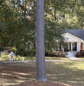 auburn homes near auburn university aubie 1 | REALTOR® Laura Sellers, Auburn, AL