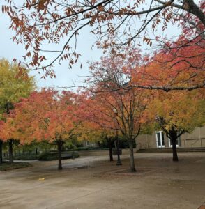 auburn university fall foliage 15 | REALTORĀ® Laura Sellers, Auburn, AL