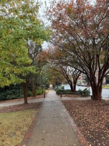 auburn university fall foliage 3 | REALTOR® Laura Sellers, Auburn, AL