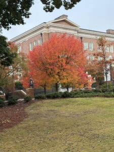 auburn university fall foliage library | REALTOR® Laura Sellers, Auburn, AL