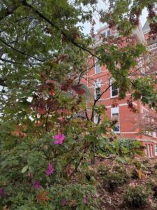auburn university fall foliage samford hall 6 | REALTOR® Laura Sellers, Auburn, AL