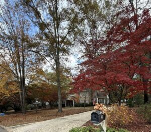 Living in Auburn Alabama Thanksgiving tradition at Berkshire Hathaway HomeServices Preferred Real Estate