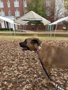 Auburn Football Tailgating: It's About More Than the Game 10