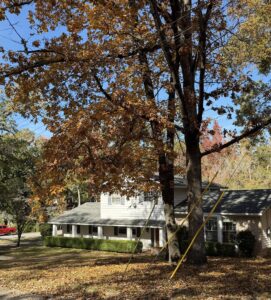 homes for sale near auburn univeristy 1 | REALTOR® Laura Sellers, Auburn, AL