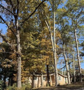 homes for sale near auburn univeristy 10 | REALTOR® Laura Sellers, Auburn, AL