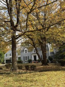 homes for sale near auburn university 2 | REALTOR® Laura Sellers, Auburn, AL