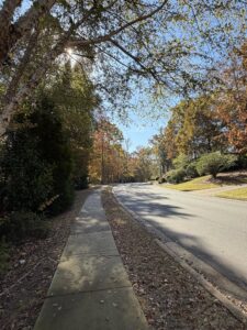 moores mill auburn neighborhood 1 | REALTOR® Laura Sellers, Auburn, AL