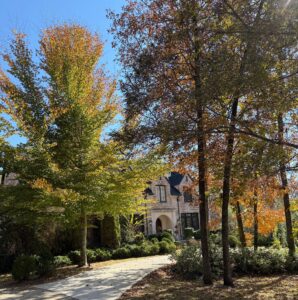 moores mill auburn neighborhood house 24 | REALTOR® Laura Sellers, Auburn, AL