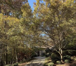 moores mill auburn neighborhood house 25 | REALTOR® Laura Sellers, Auburn, AL