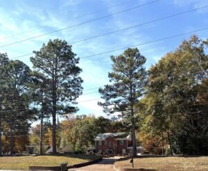 move to auburn homes for sale | REALTOR® Laura Sellers, Auburn, AL