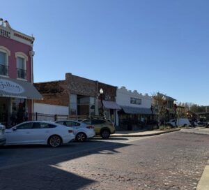opelika historic district fall foliage street 13 | REALTOR® Laura Sellers, Auburn, AL