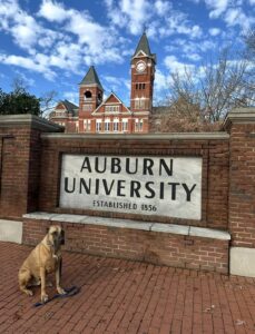 Screenshot | REALTOR® Laura Sellers, Auburn, AL