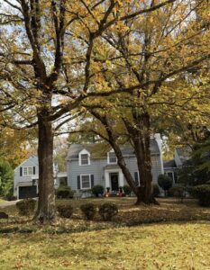 Screenshot | REALTOR® Laura Sellers, Auburn, AL