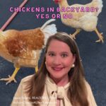 chickens backyard auburn alabama home buying selling impact