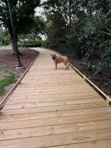 Homes for Sale in Auburn: Fence or No Fence? 8