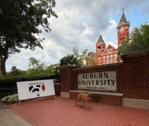 Moving to Auburn, Alabama: Hidden Costs You Should Know Before You Buy 5