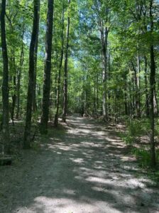 Auburn Homes for Sale: Would You Rather Walk to Restaurants or Walk to Trails? 2
