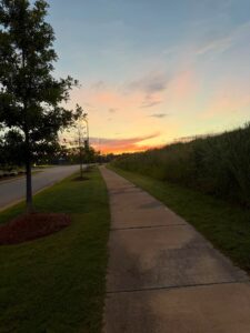 Auburn Relocation: No Neighbors Behind or Beside You? 3